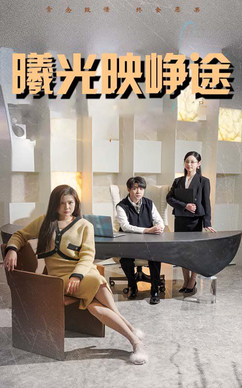 曦光映峥途（错把瓦砾当明珠） 第1-20集