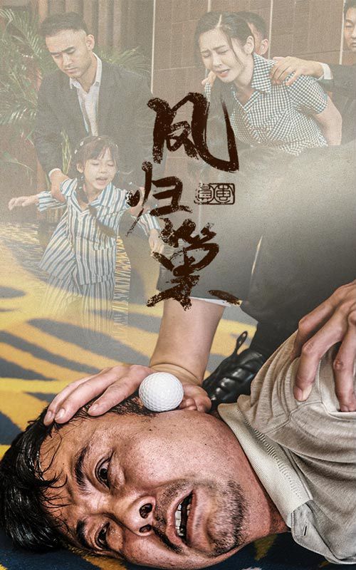 新版：凤归巢 第1-20集