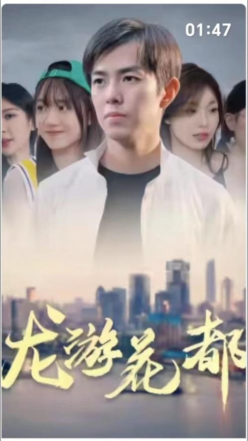 龙游花都 第41-60集