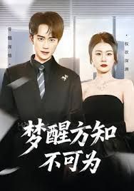 梦醒方知不可为(全集)