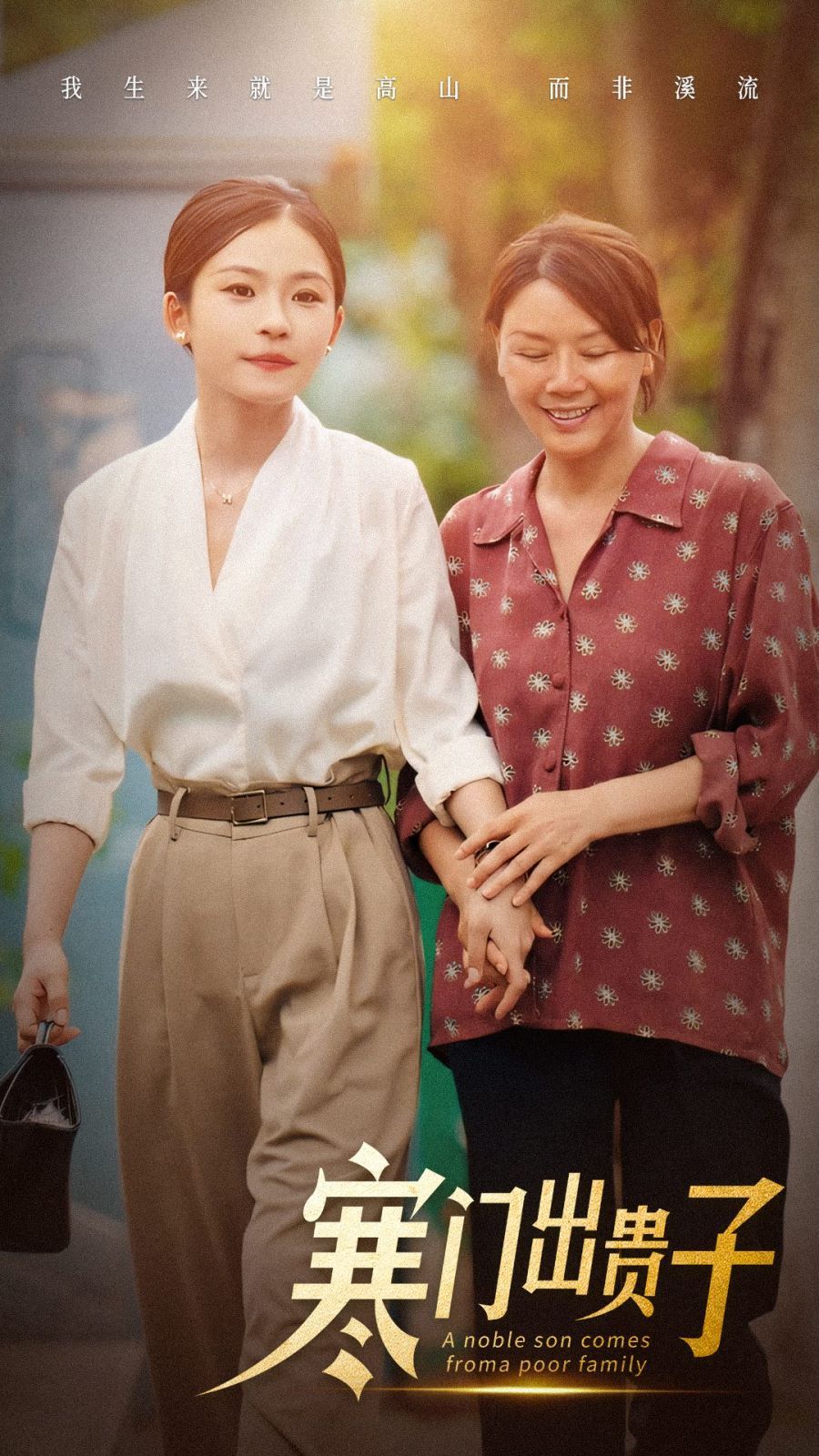 寒门出贵子 第21-50集