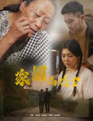 家国两难全（自古忠孝两难全） 第41-62集完结(大结局)