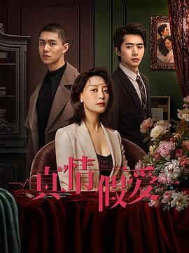 真情假爱2023 第12集